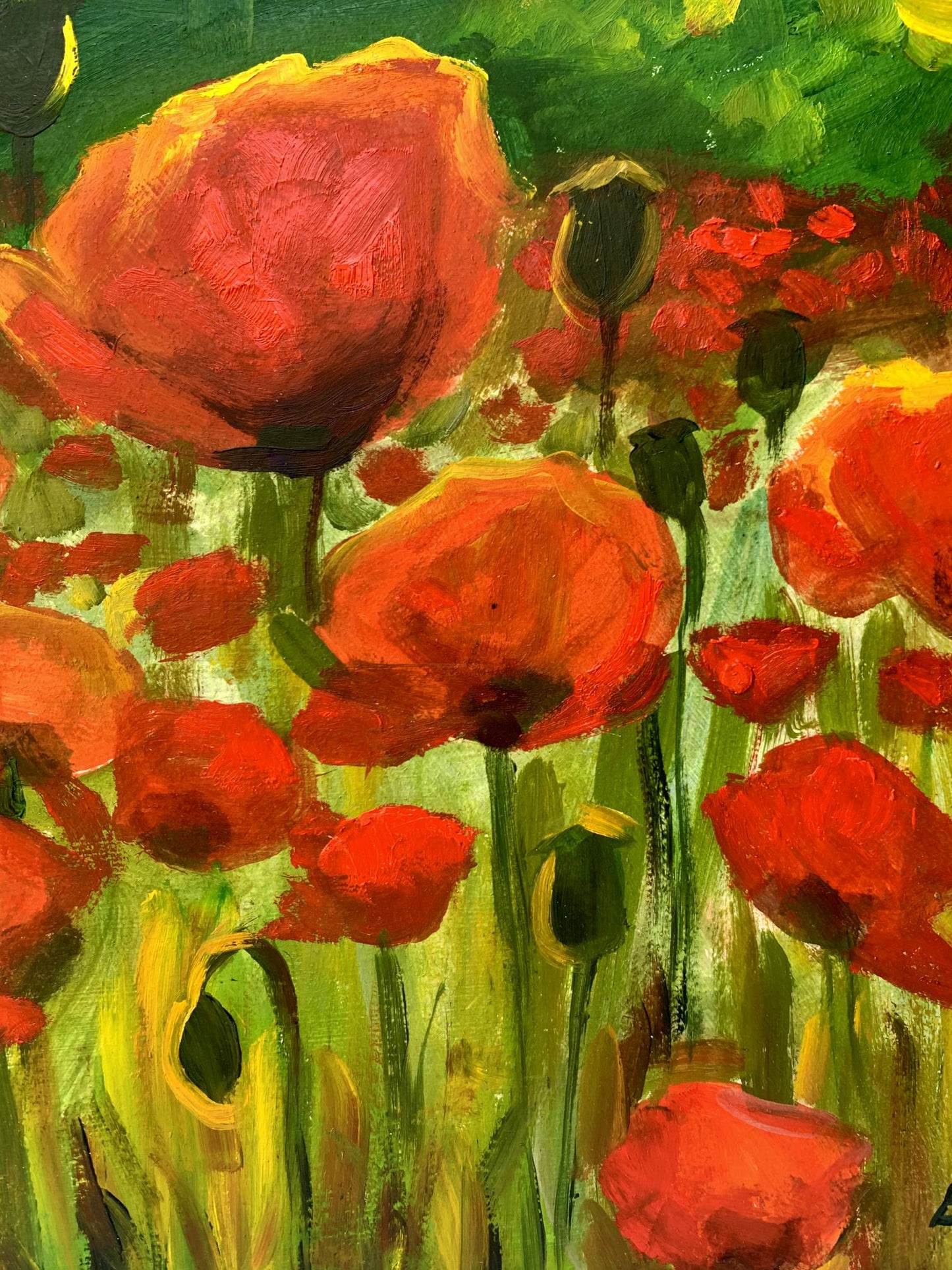 Oil painting Poppies in the field Valentina Simashchuk