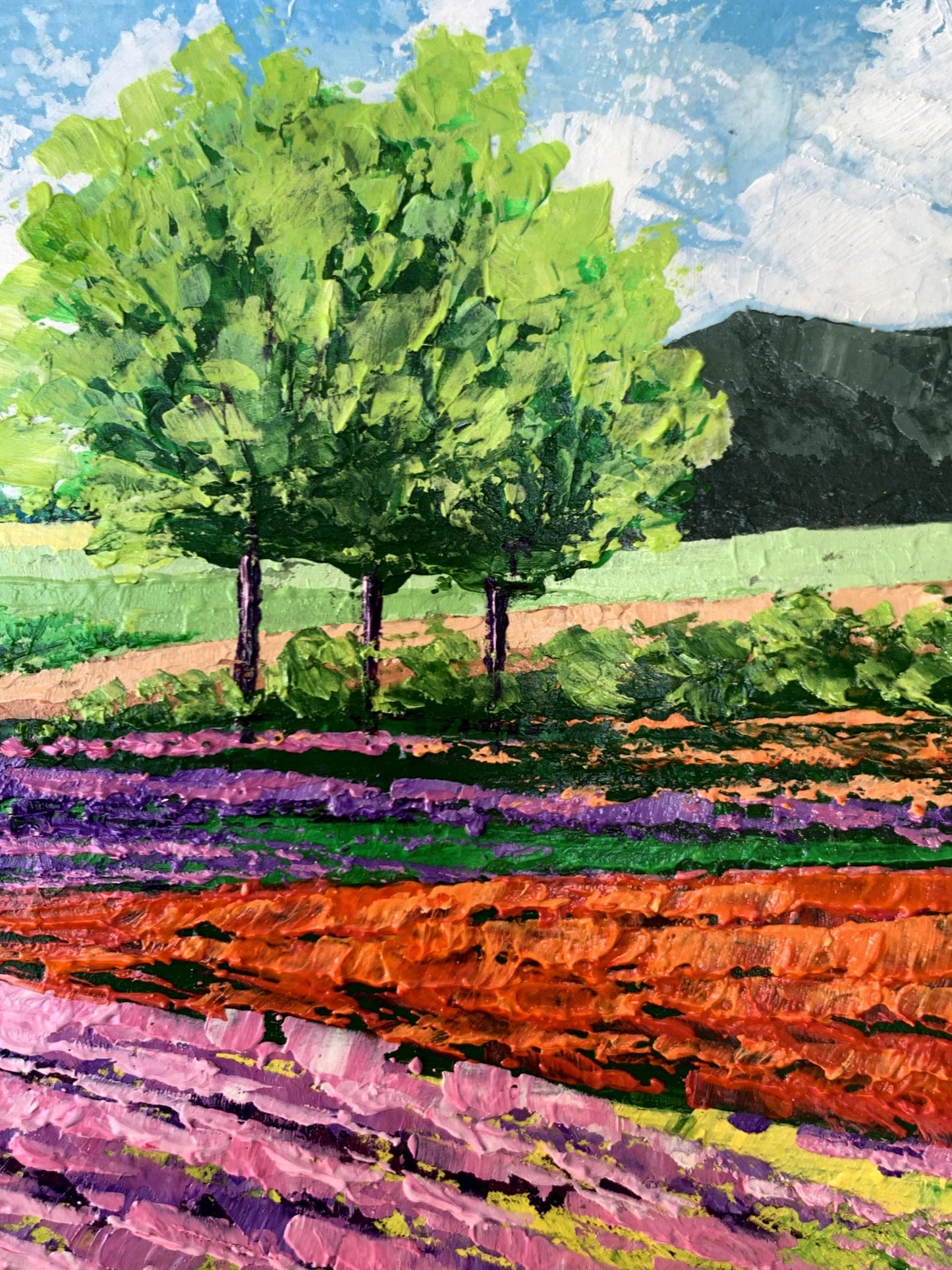 Oil painting Flower fields near the mountains V. Zadorozhnya