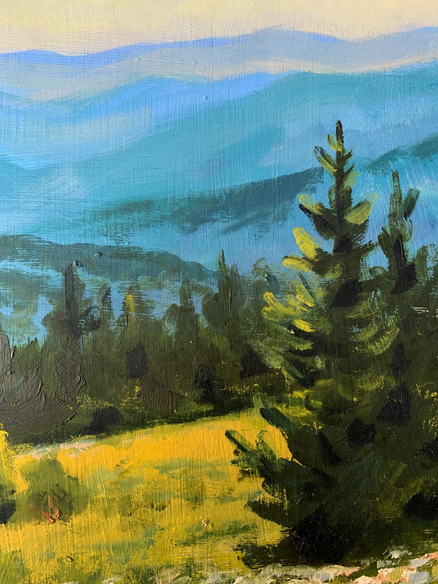 Oil painting Mountain Valley Valentina Simashchuk