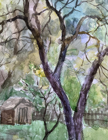 Watercolor painting Owner's yard V. Mishurovsky