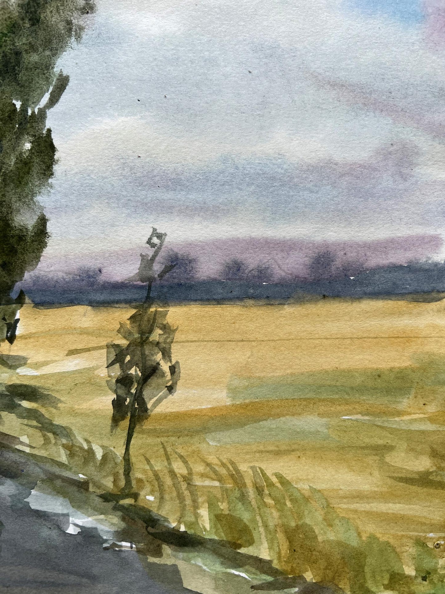 Watercolor painting Windy day in summer V. Mishurovsky