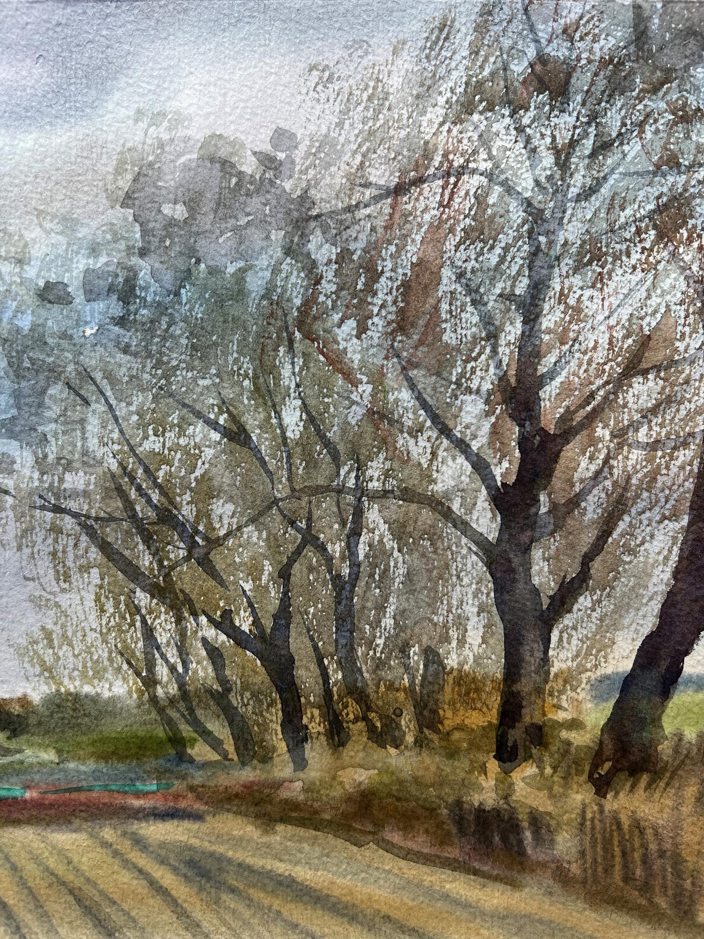 Watercolor painting Silver poplars V. Mishurovsky