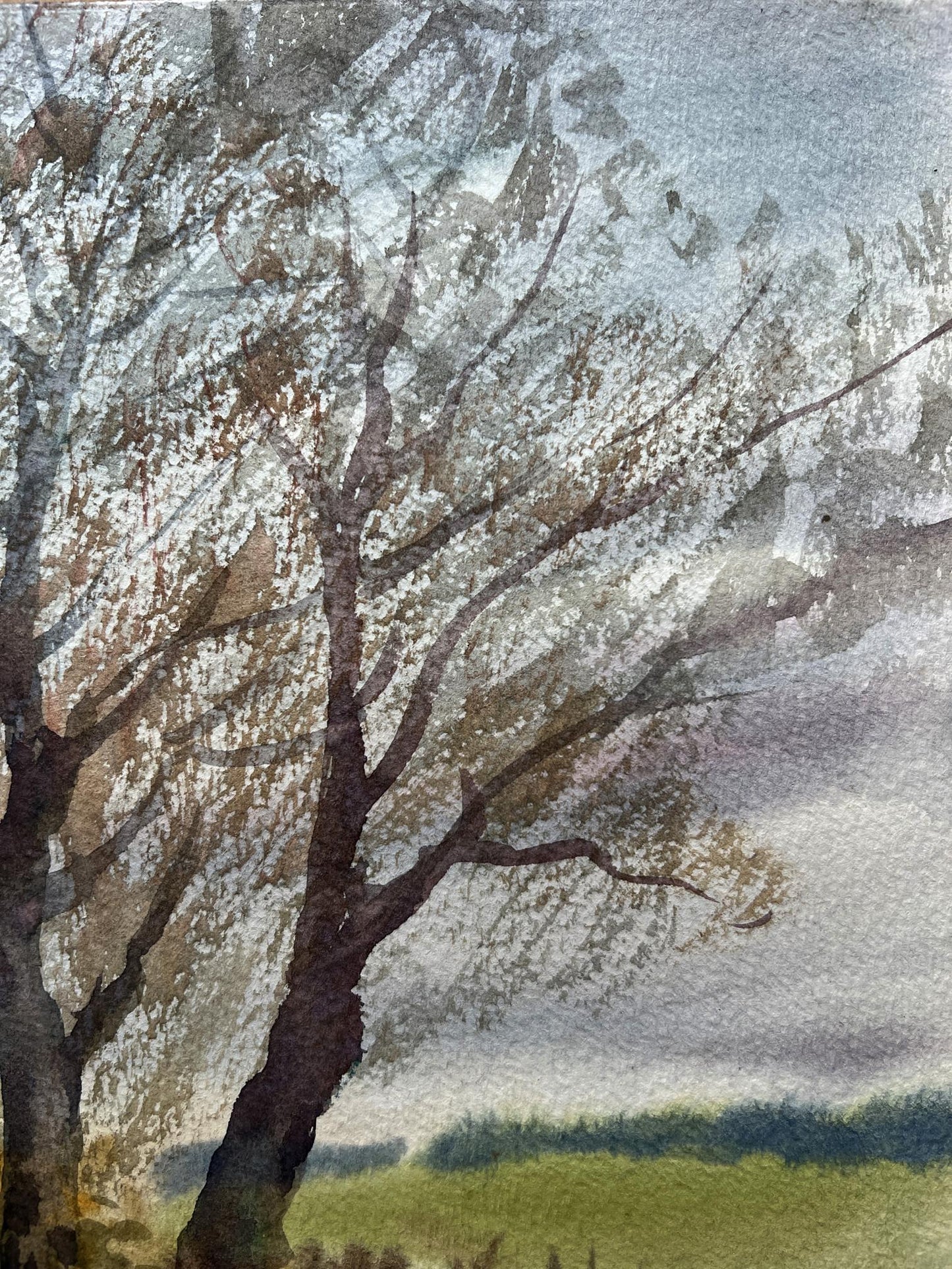 Watercolor painting Silver poplars V. Mishurovsky