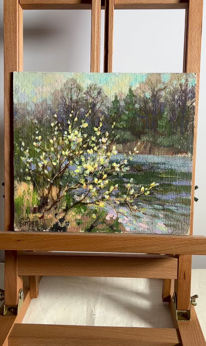 Oil painting Willow blossoms over water Batrakov Vladimir Grigorievich