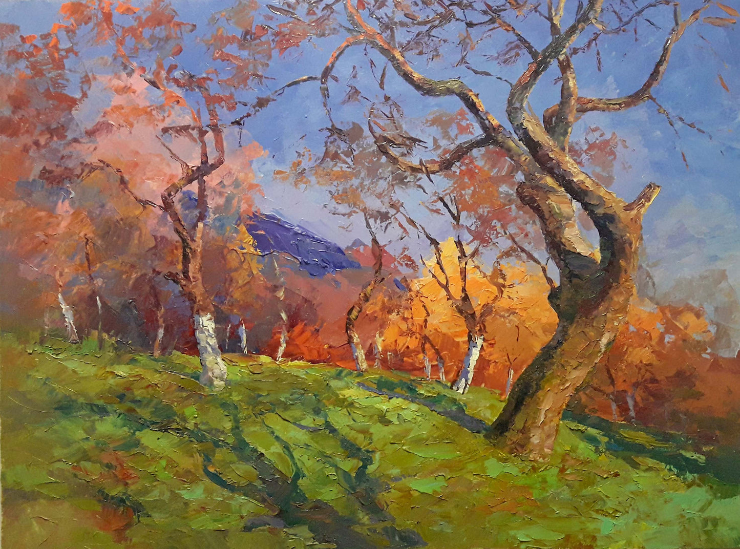 Oil painting Apple orchard Serdyuk Boris Petrovich