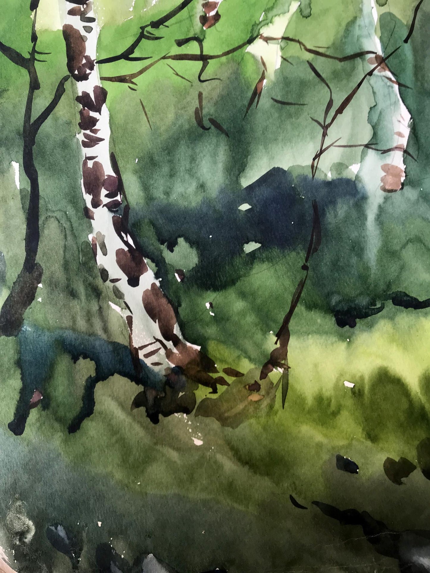 Watercolor painting Birch forest Litvinov Oleg Arkad'yevich
