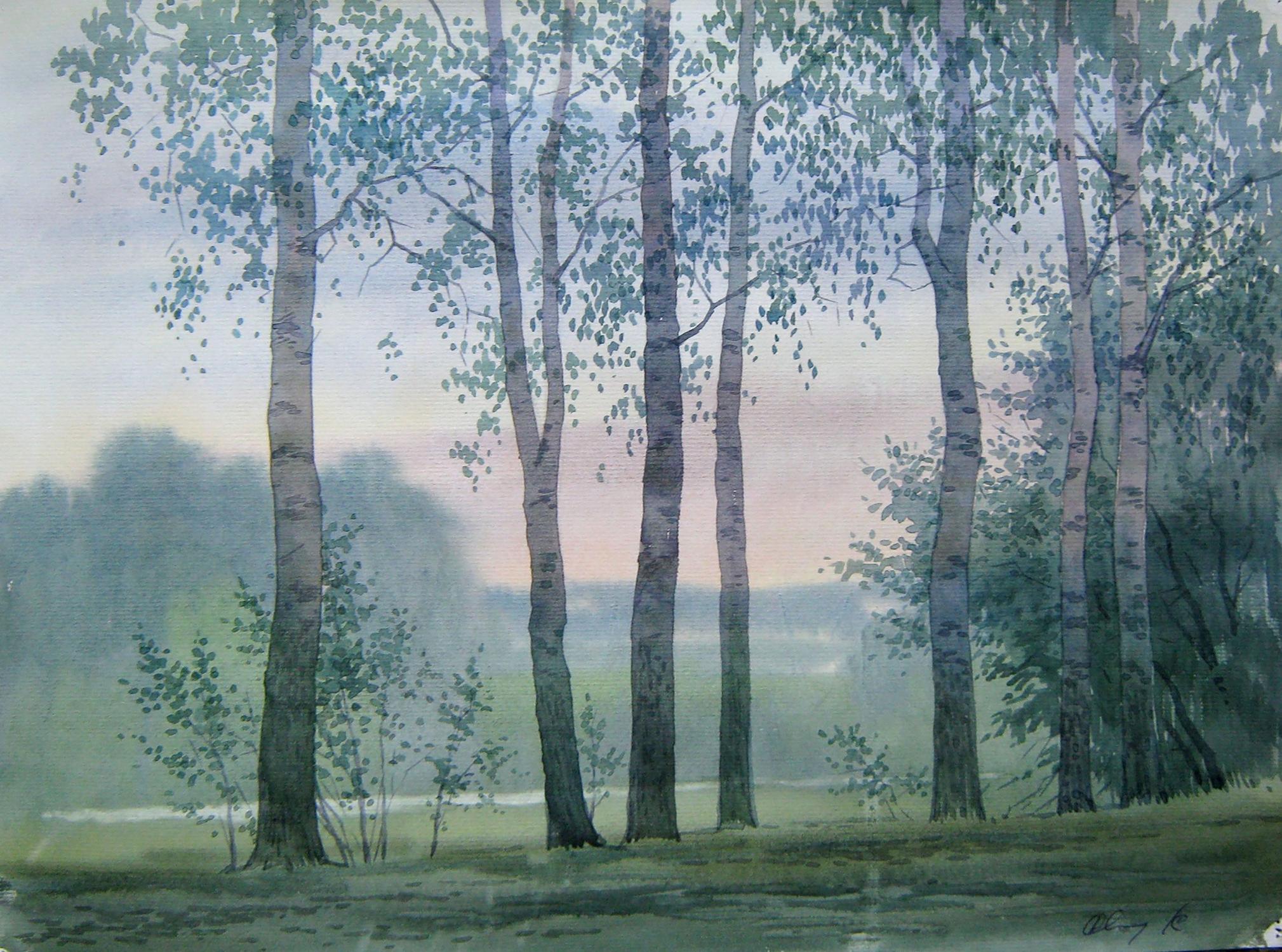 Watercolor painting Birches in the forest Savenets Valery