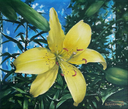 Oil painting Day-lily Vasily Korkishko