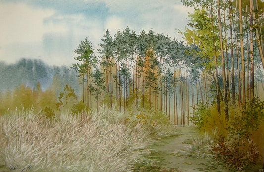 Watercolor painting Walk in the woods Savenets Valery