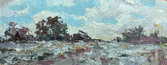 Oil painting Cloudy Alexander Nikolaevich Cherednichenko
