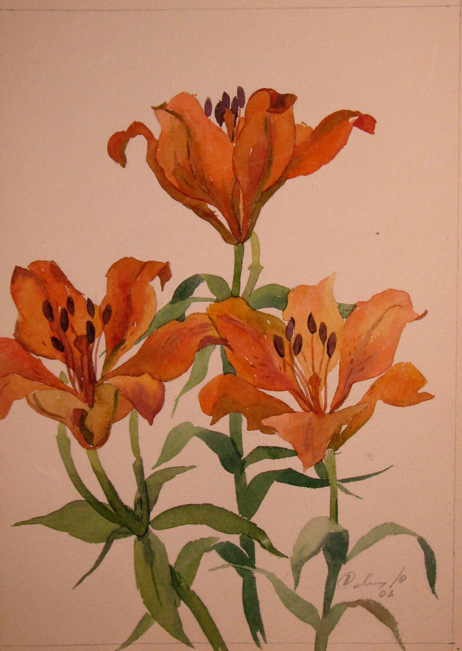 Watercolor painting Lilies Savenets Valery
