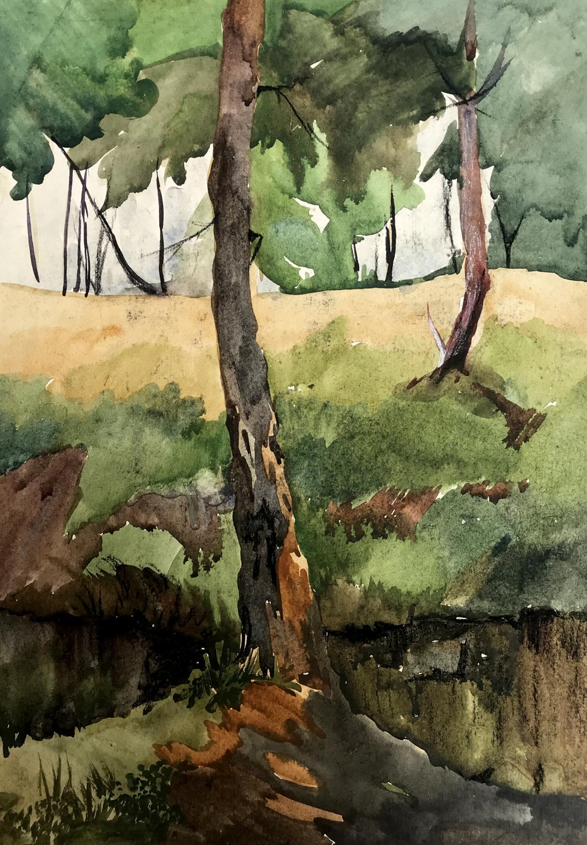 Watercolor painting Rest in the woods Unknown artist
