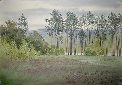 Watercolor painting Forest halt Savenets Valery