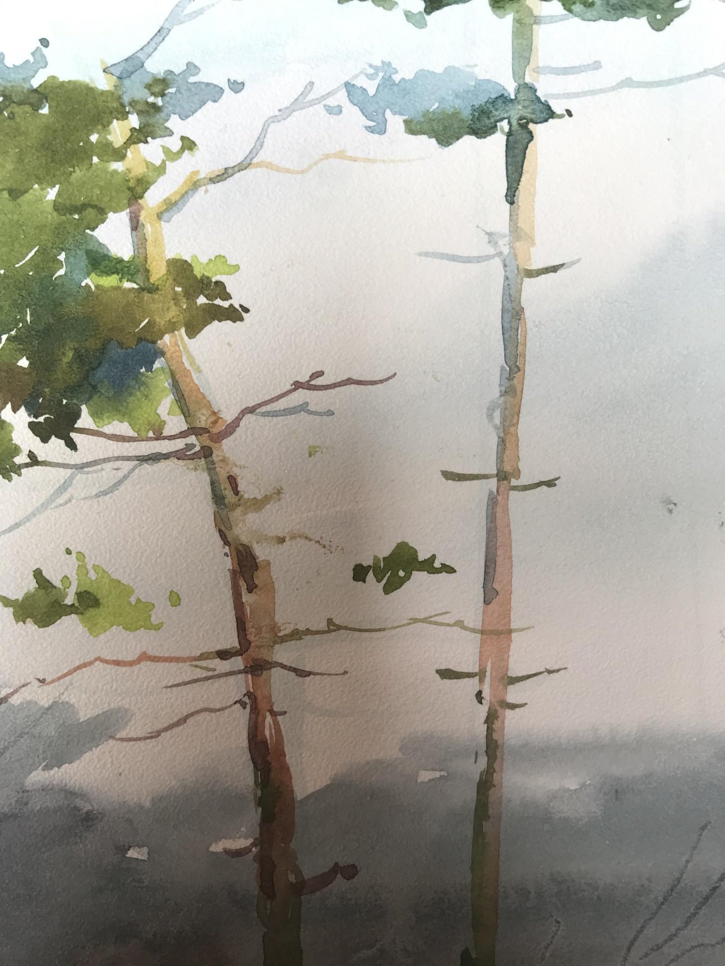 Watercolor painting Two lonely trees in a field Unknown artist