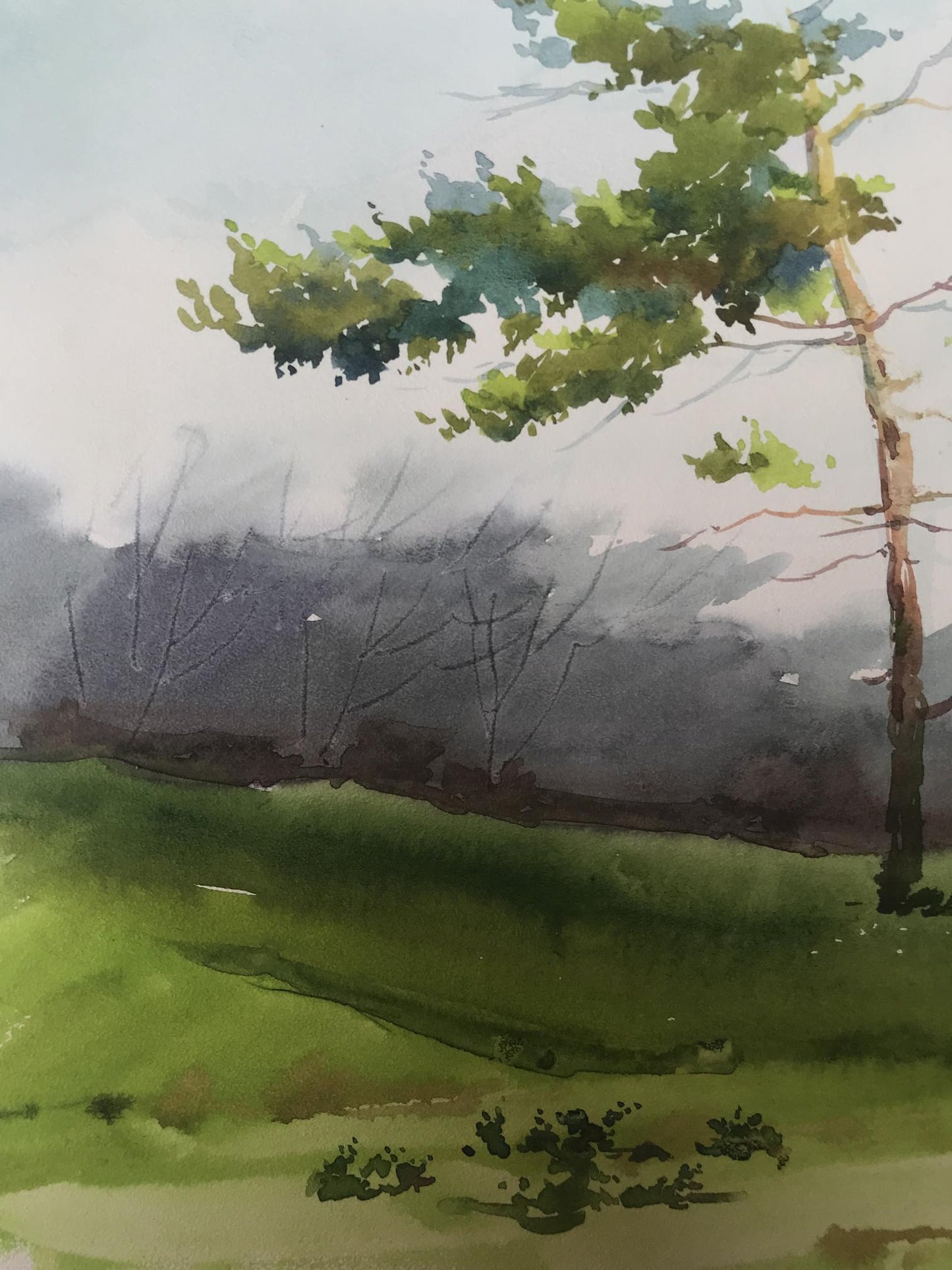 Watercolor painting Two lonely trees in a field Unknown artist