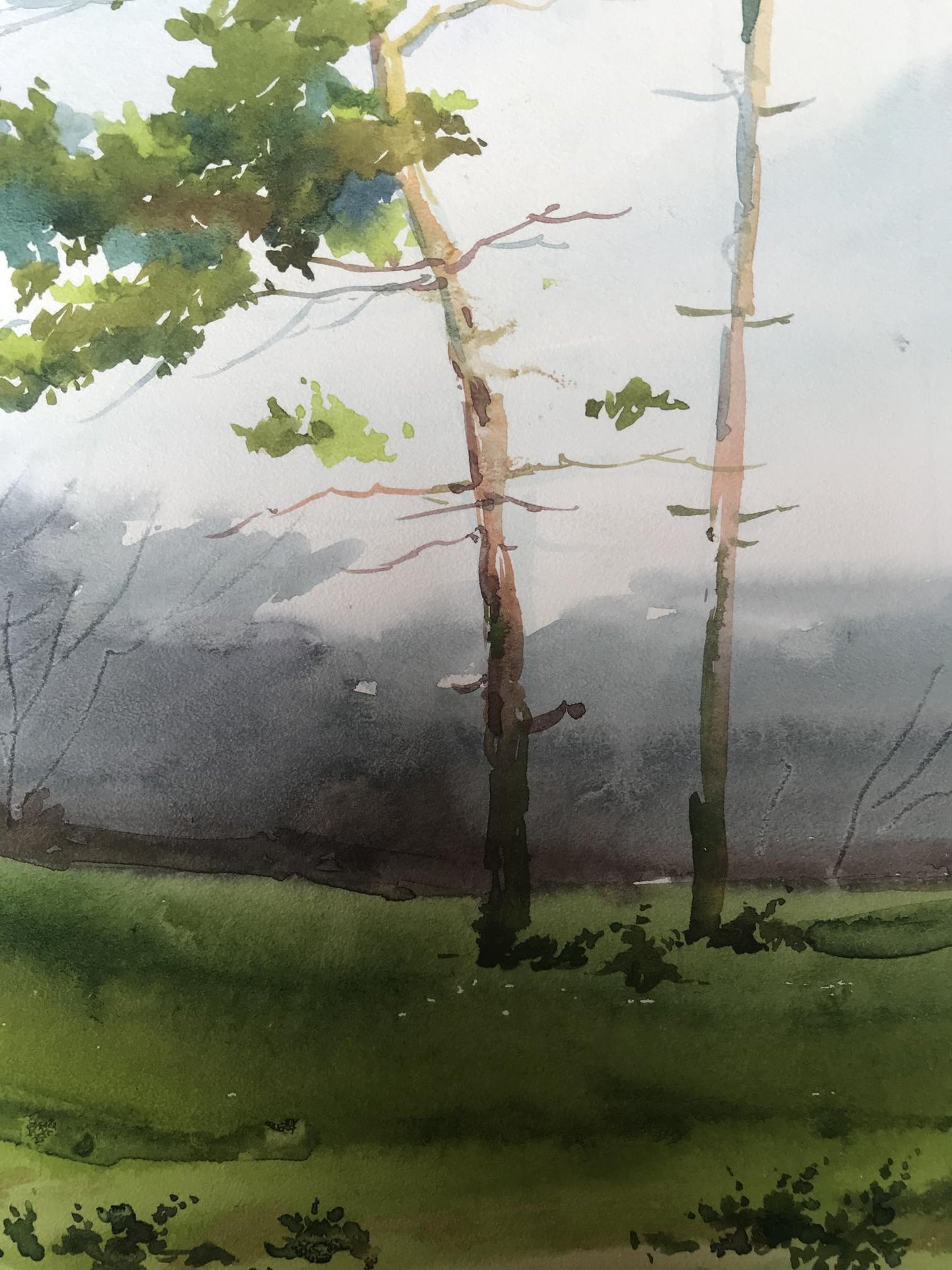 Watercolor painting Two lonely trees in a field Unknown artist