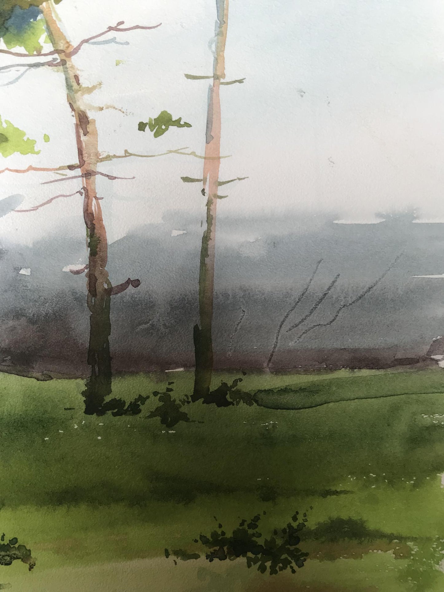 Watercolor painting Two lonely trees in a field Unknown artist