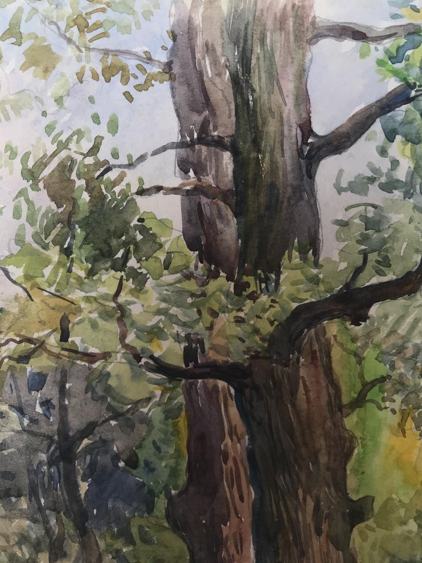 Watercolor painting Once upon a time in the forest Wihyrovskii Victor