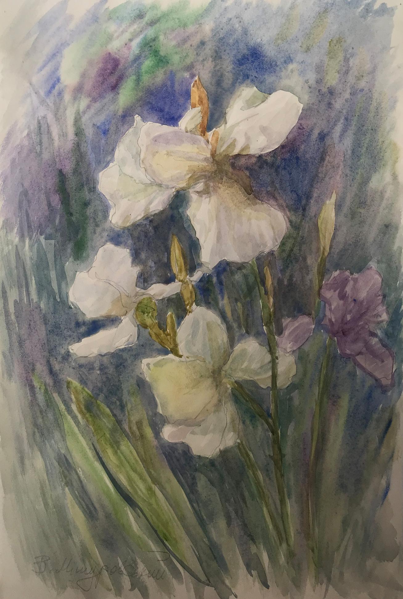 Watercolor painting Lilies growing in the field Victor Myshurovsky