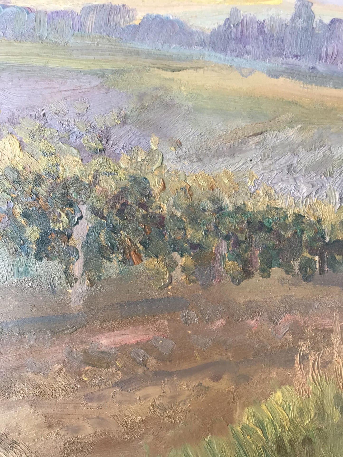 Oil painting Vineyards Unknown artist