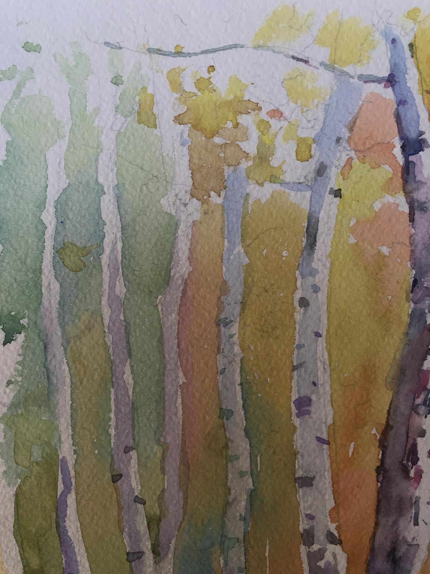 Watercolor painting Birch forest Unknown artist