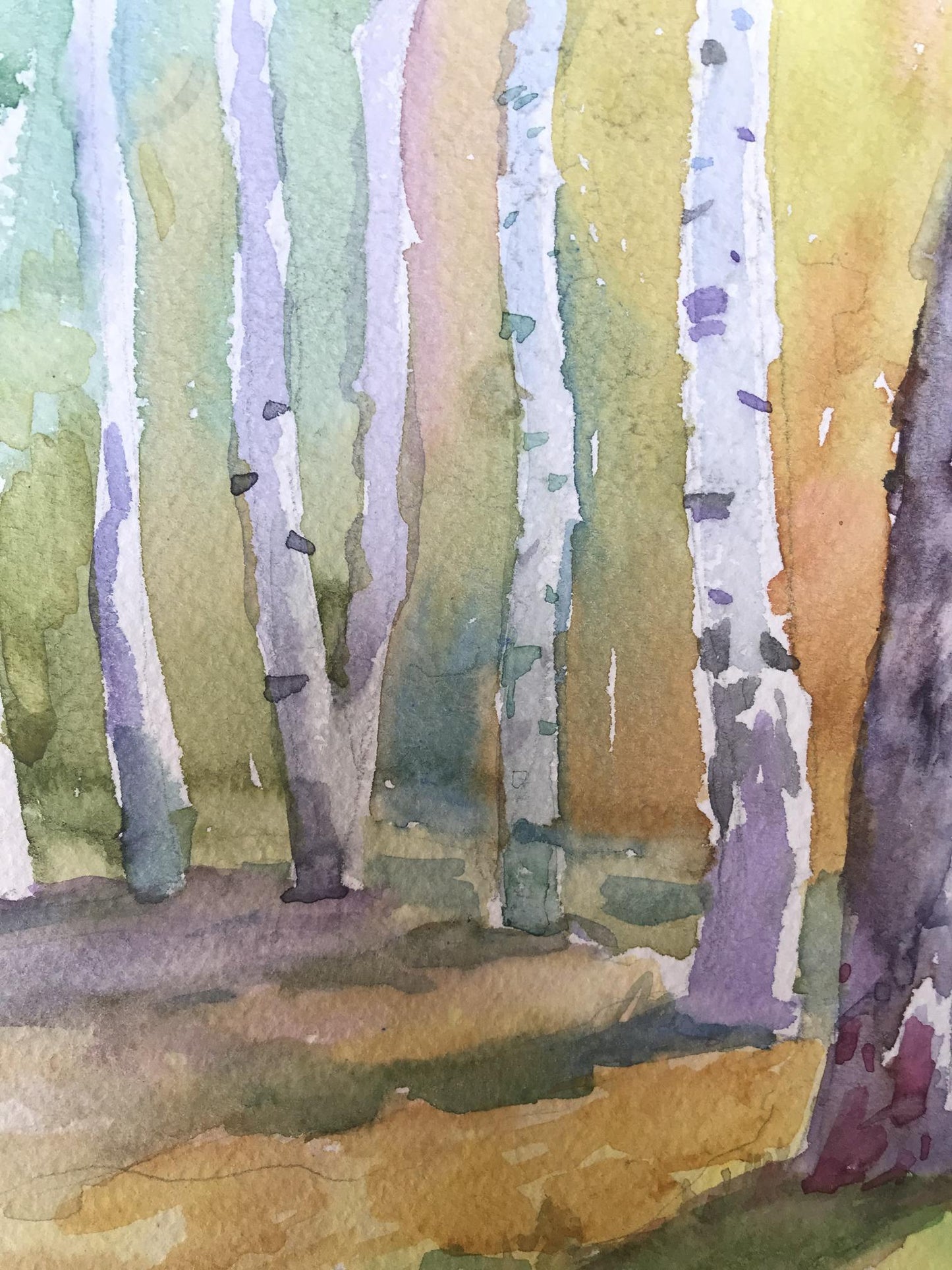 Watercolor painting Birch forest Unknown artist