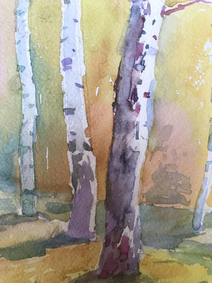 Watercolor painting Birch forest Unknown artist