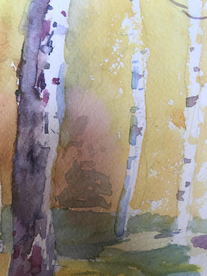 Watercolor painting Birch forest Unknown artist