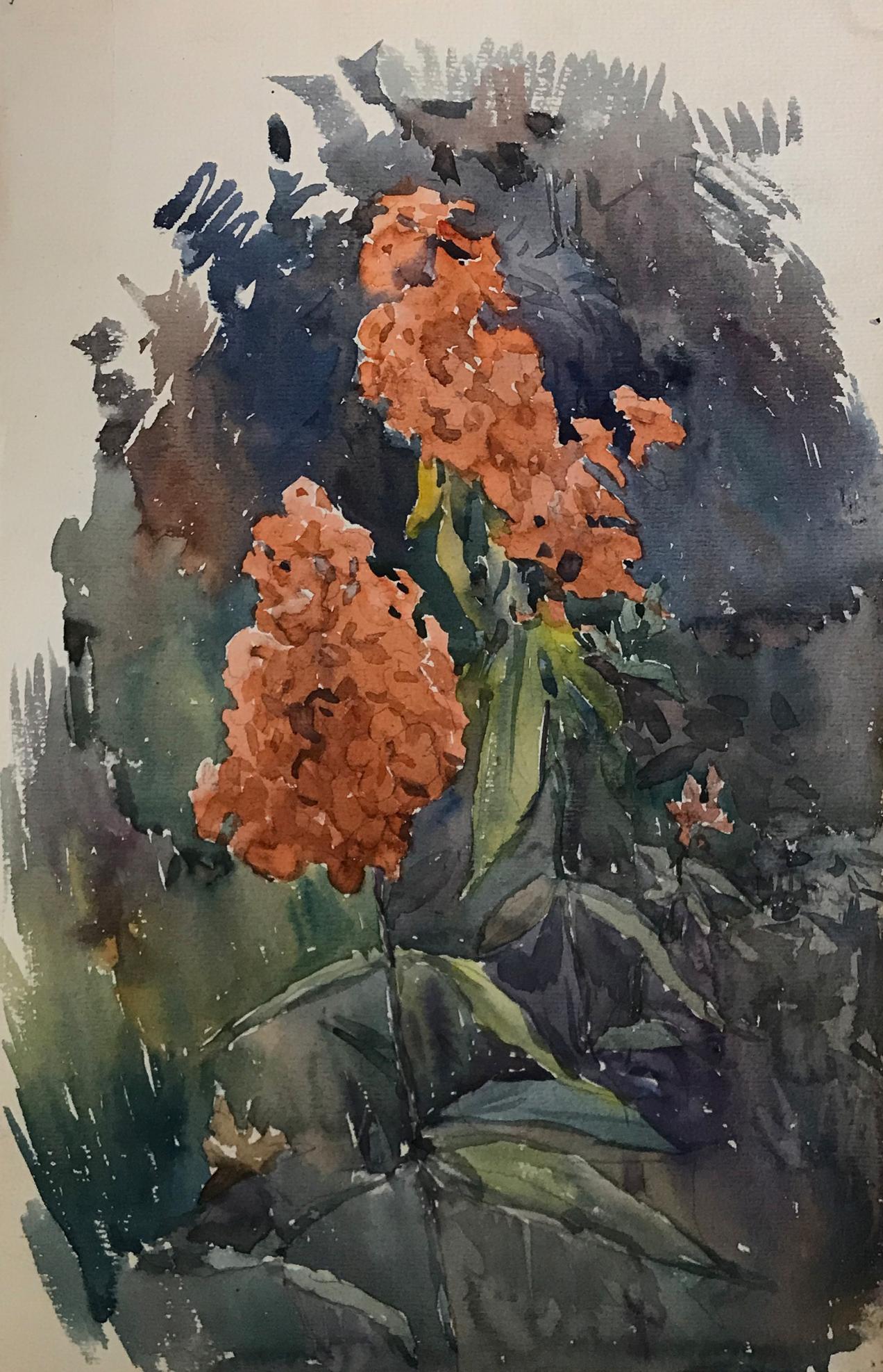 Watercolor painting Flowers in the garden Myshurovsky Victor