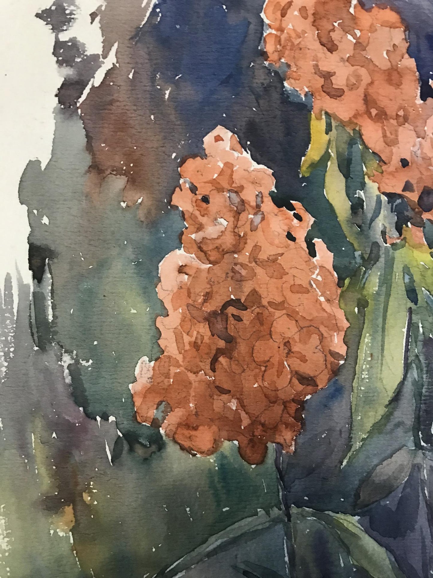 Watercolor painting Still lifes