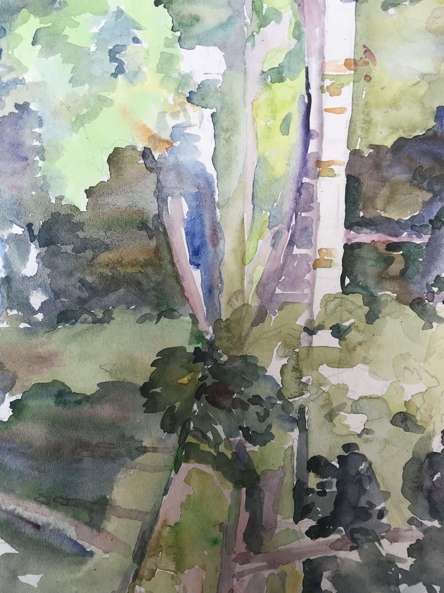 Watercolor painting City park with a bridge Unknown artist