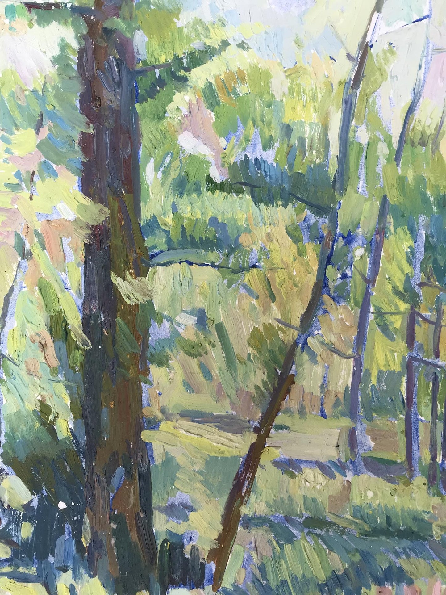 Summer Forest landscape