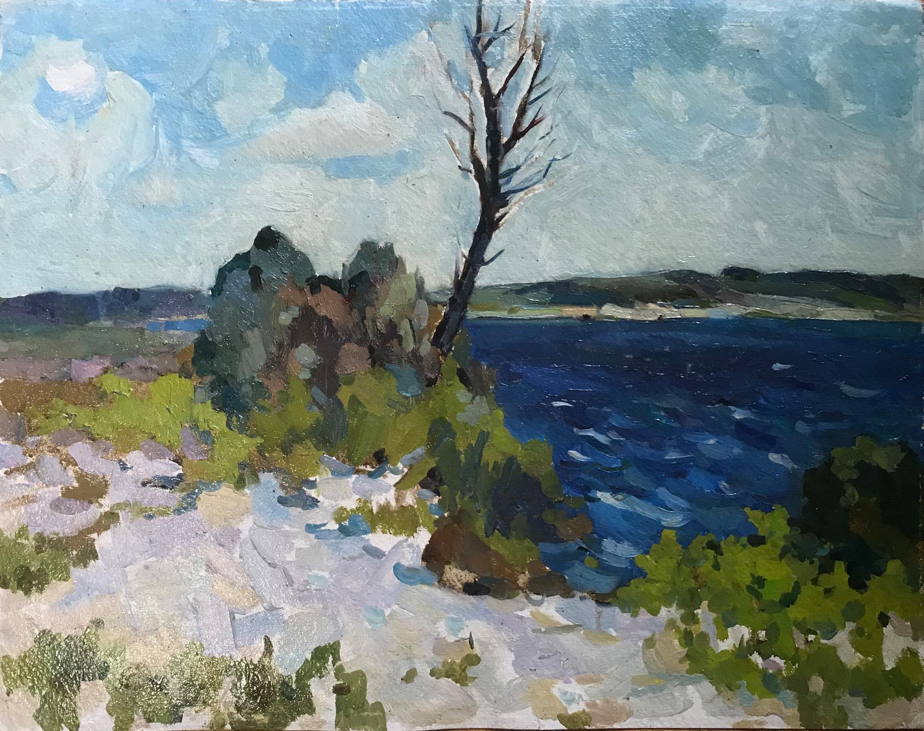 Oil painting Near the lake Peter Dobrev