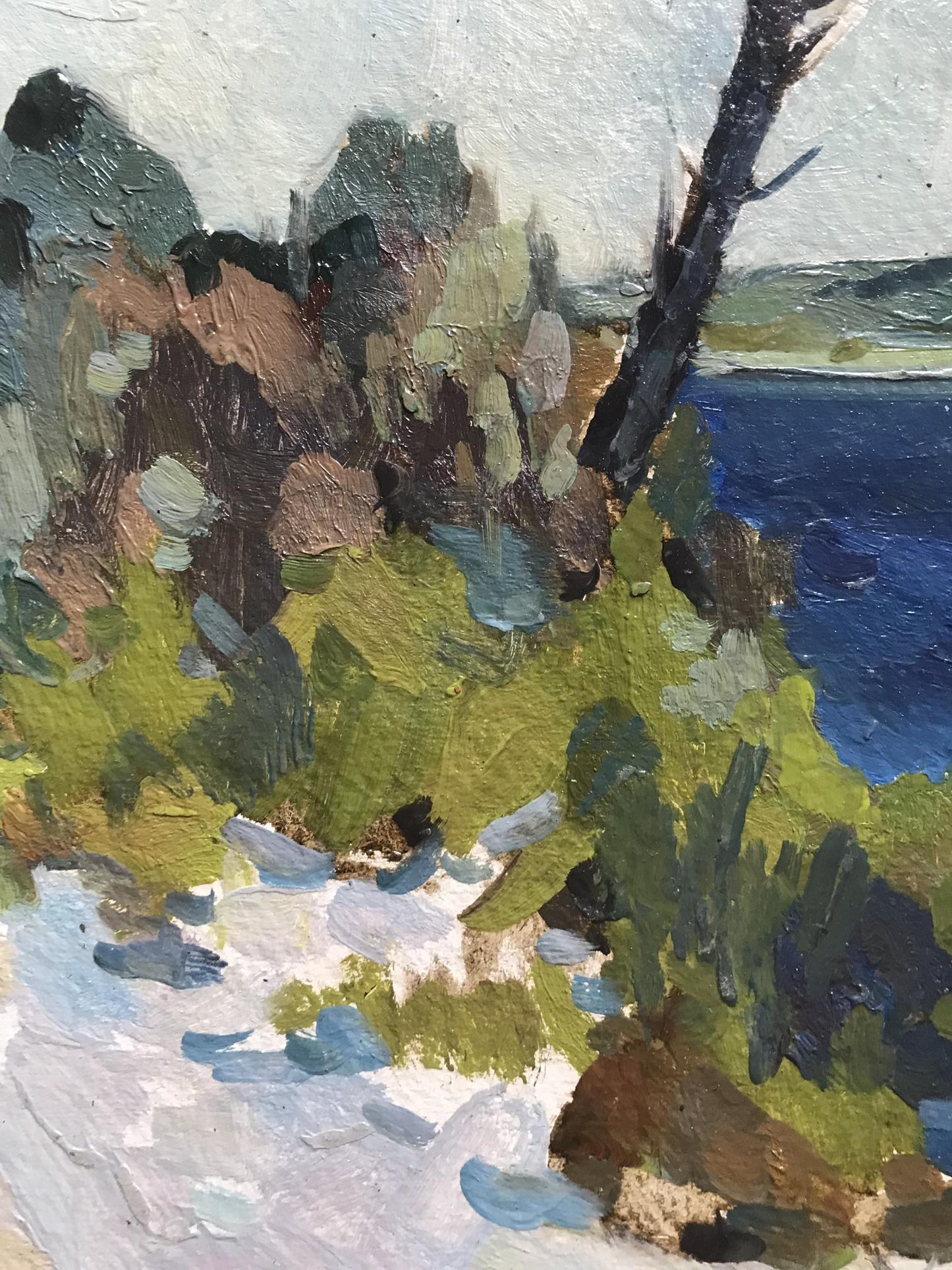 Oil painting Near the lake Peter Dobrev