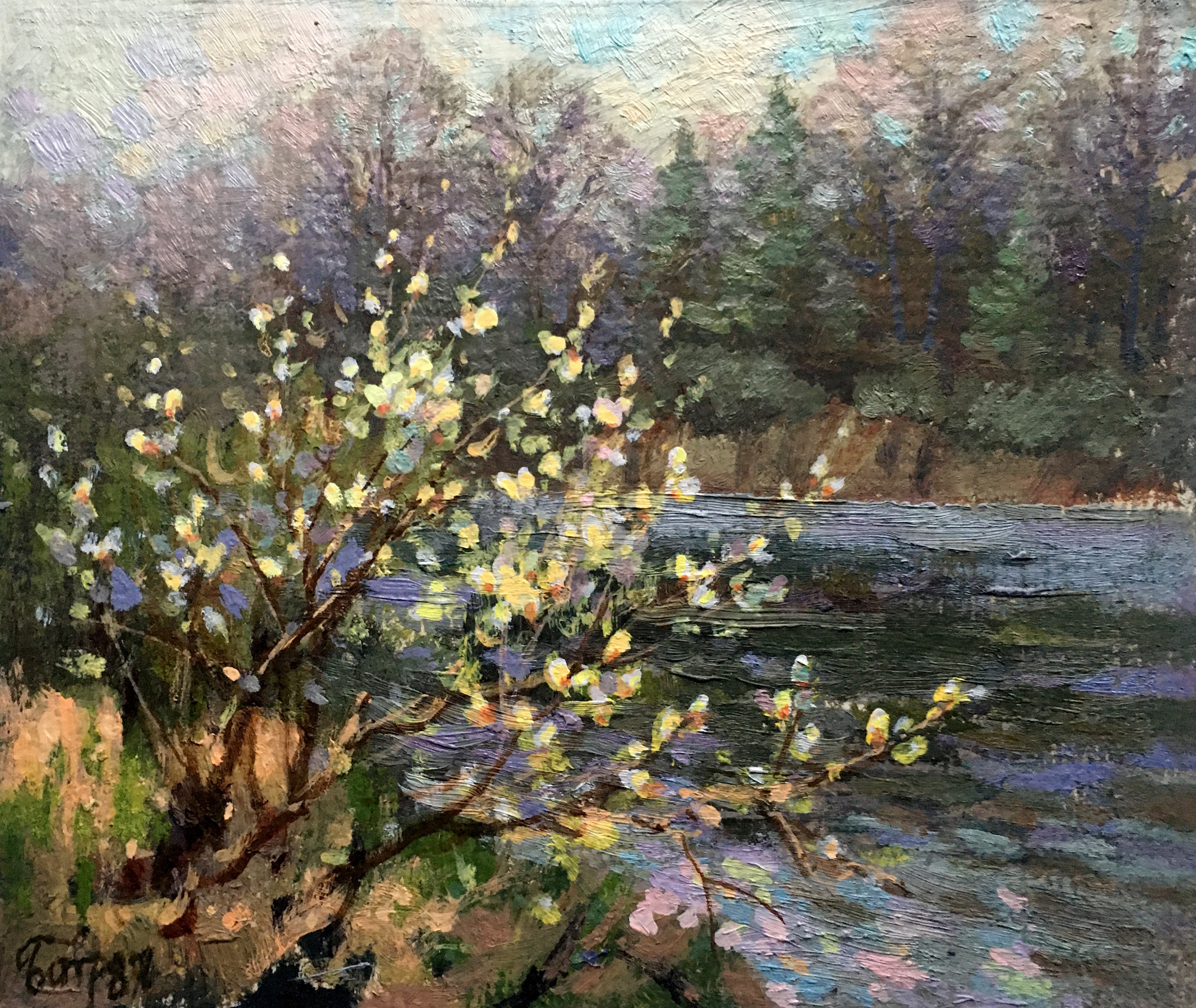 Oil painting Willow blossoms over water Batrakov Vladimir Grigorievich