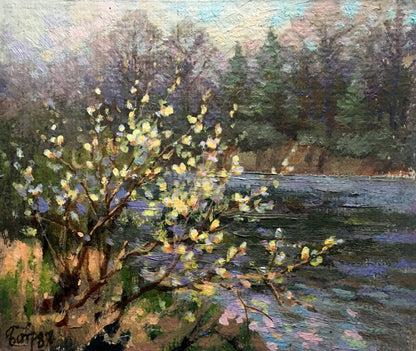Oil painting Willow blossoms over water Batrakov Vladimir Grigorievich