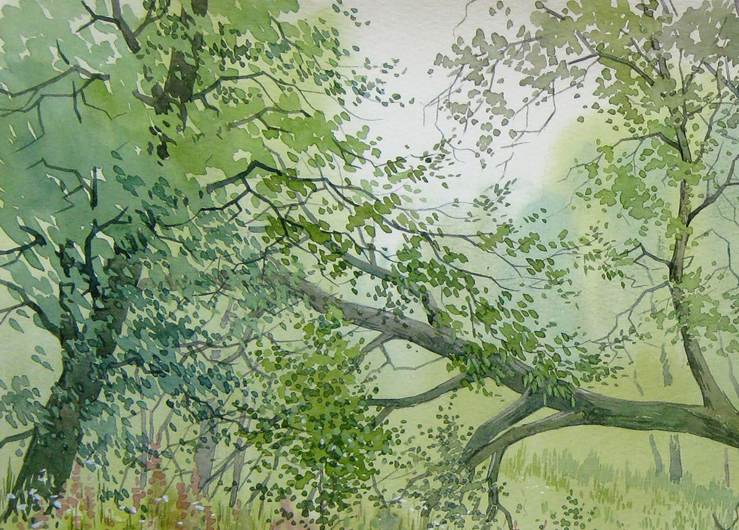 Watercolor painting Fallen tree Savenets Valery