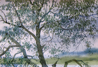 Watercolor painting Old tree Savenets Valery