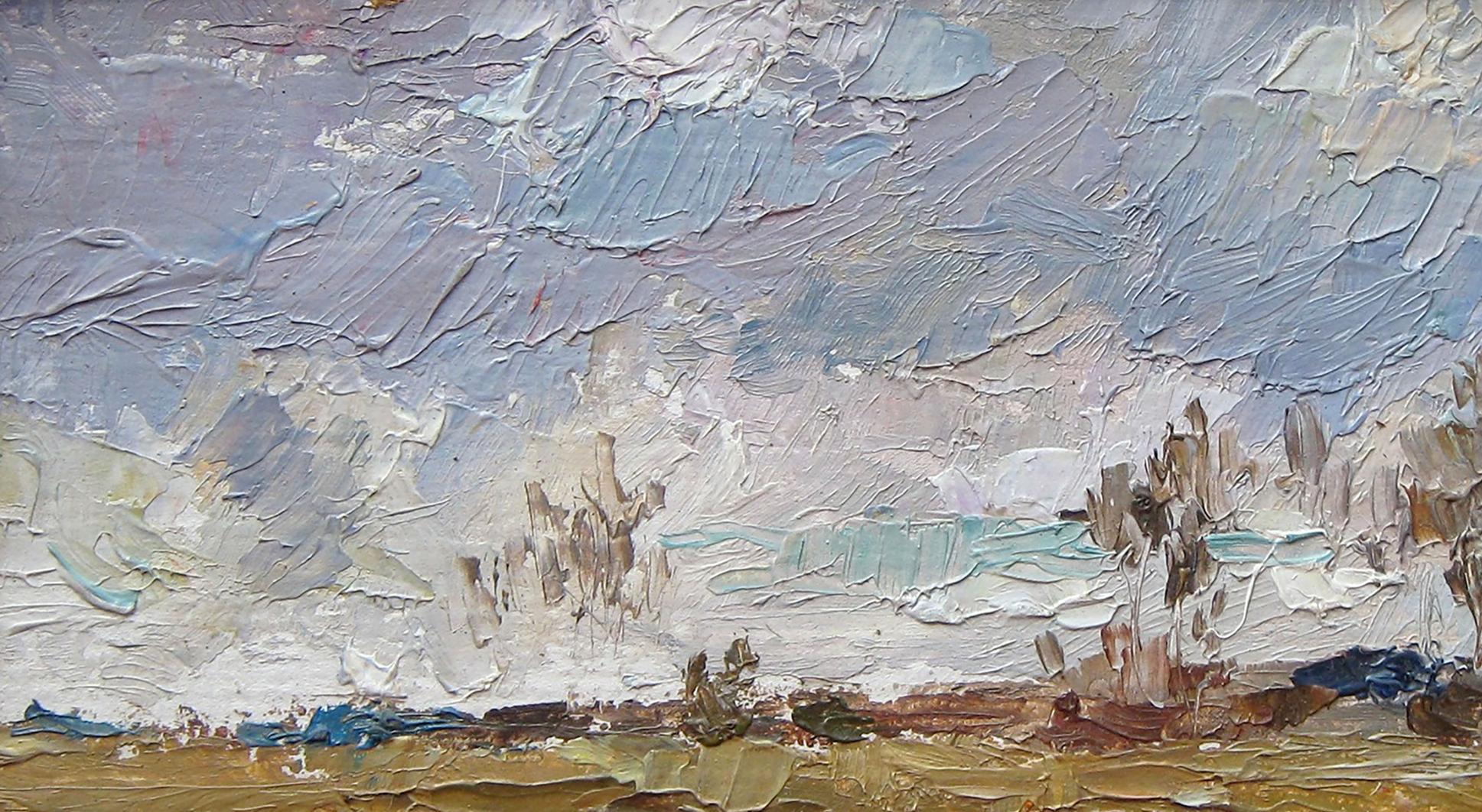 Oil painting November Sky. Etude of Valery Savenets