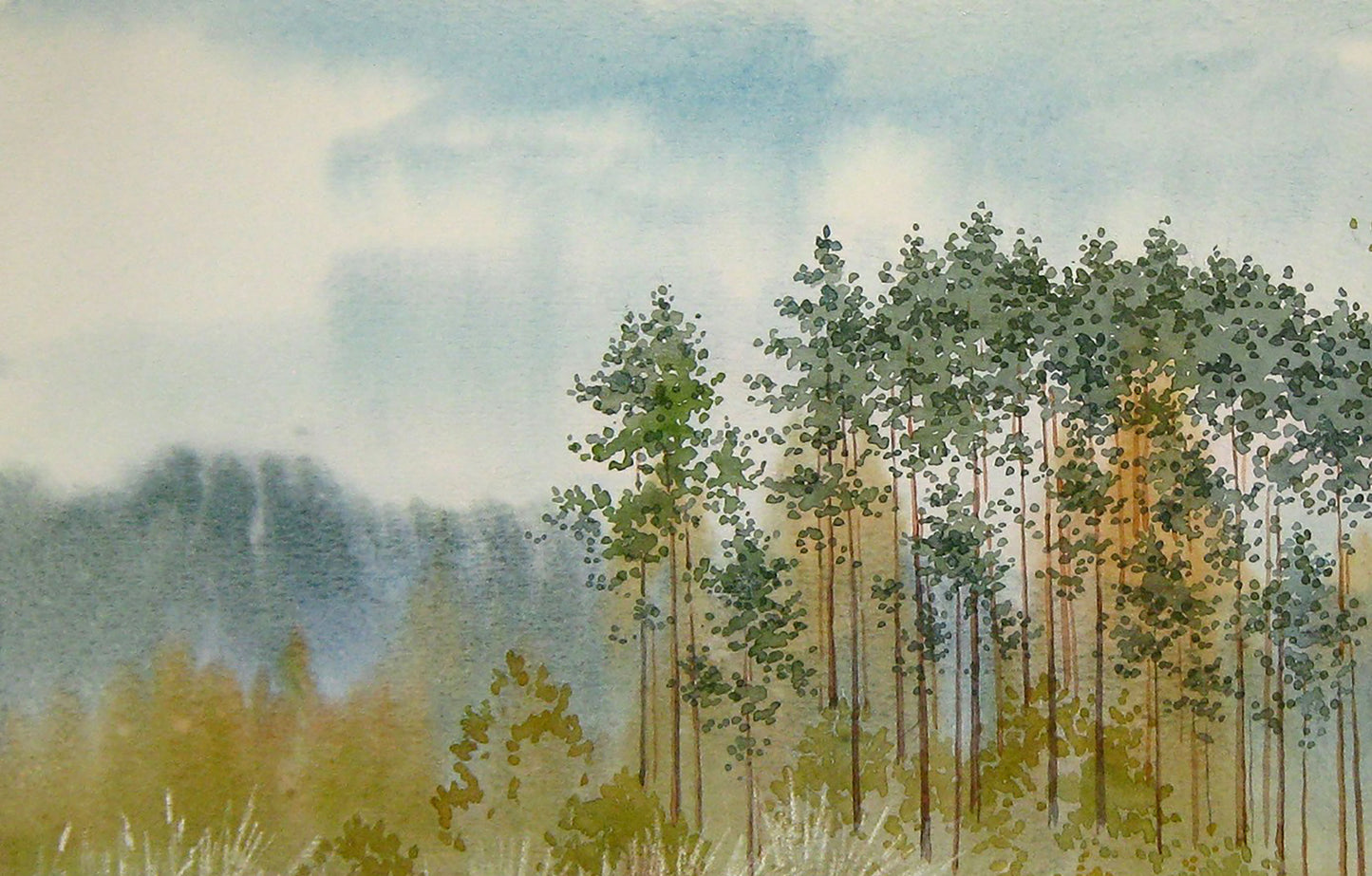 Watercolor painting Nature Landscape woods Savenets Valery