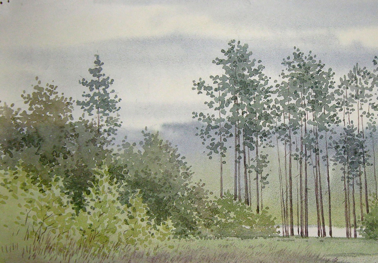 Valery Savenets captures a moment of respite in the forest in his watercolor painting