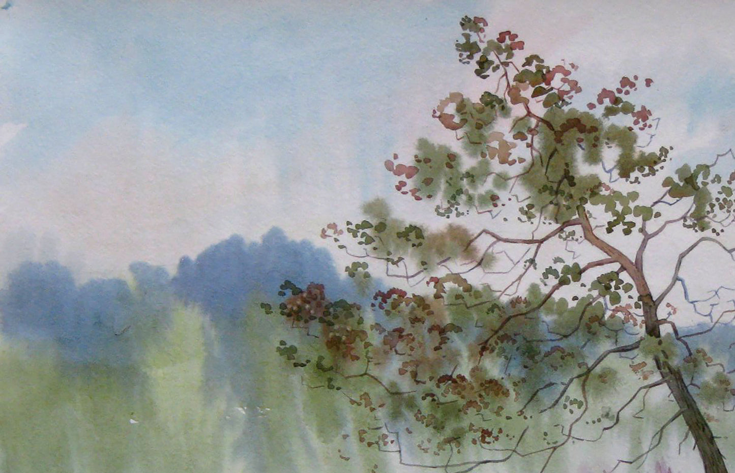 Watercolor painting Morning. Blooming Sally Savenets Valery