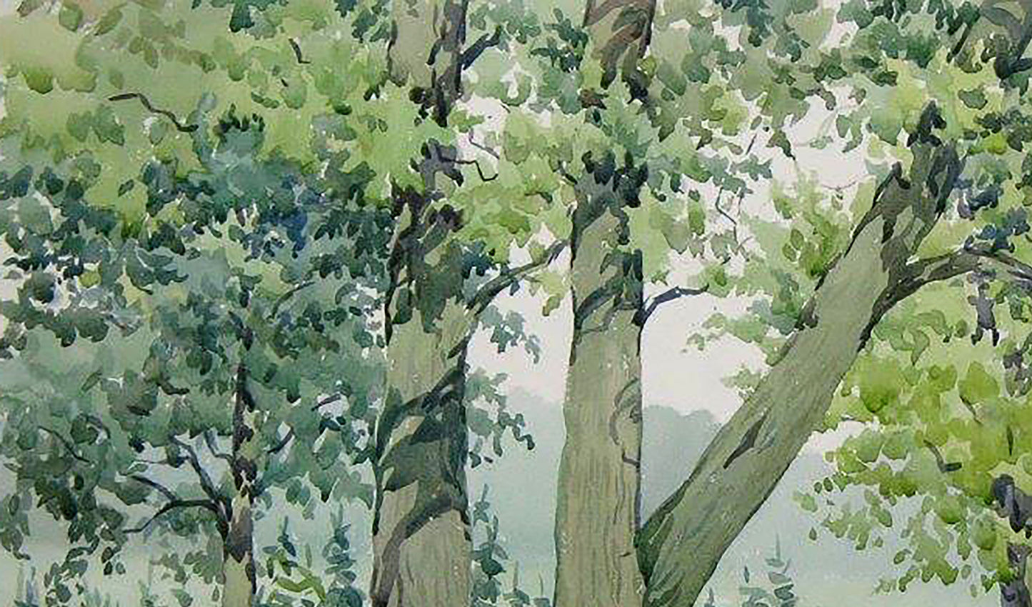 Watercolor painting Oak forest Savenets Valery