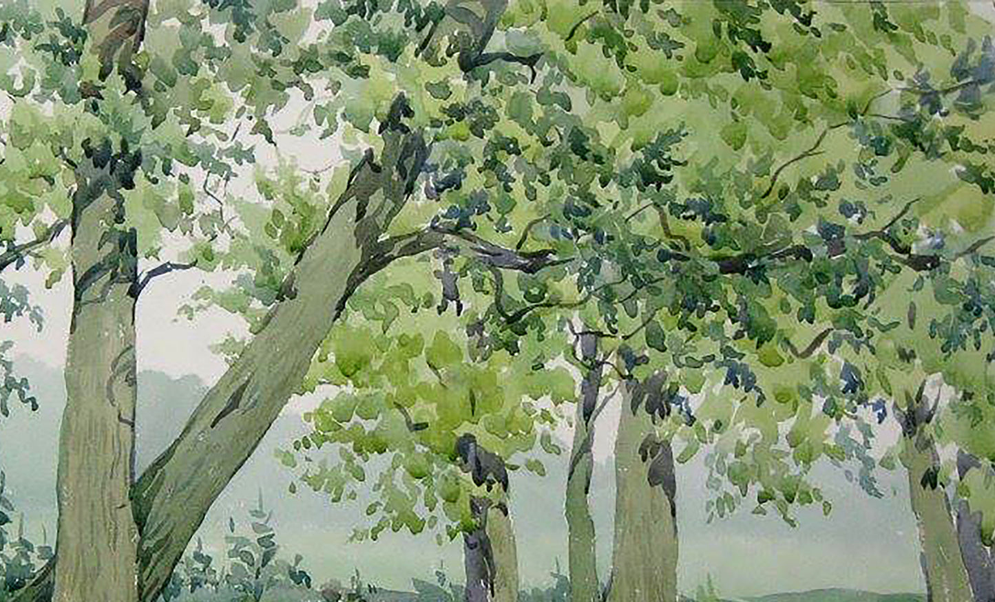 Watercolor painting Oak forest Savenets Valery