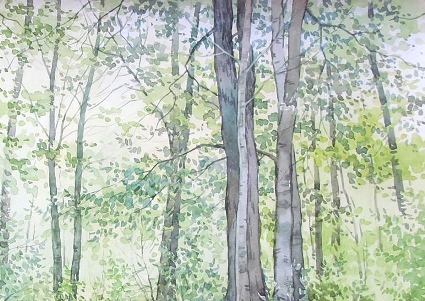 Watercolor painting Warm and sunny day in the forest Valery Savenets