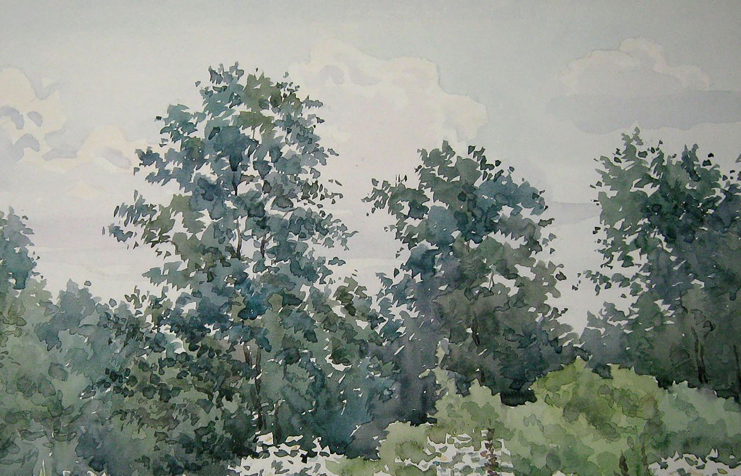 Watercolor painting Dense forest Savenets Valery