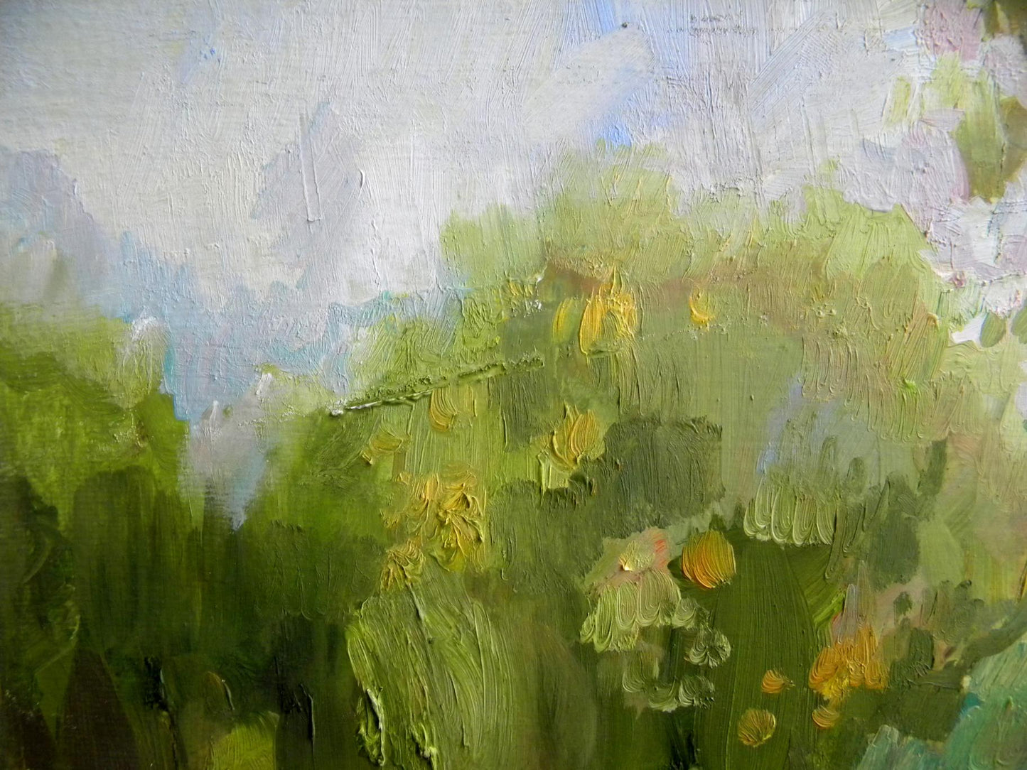 Oil painting Near the lake Anatoly Kymnatny