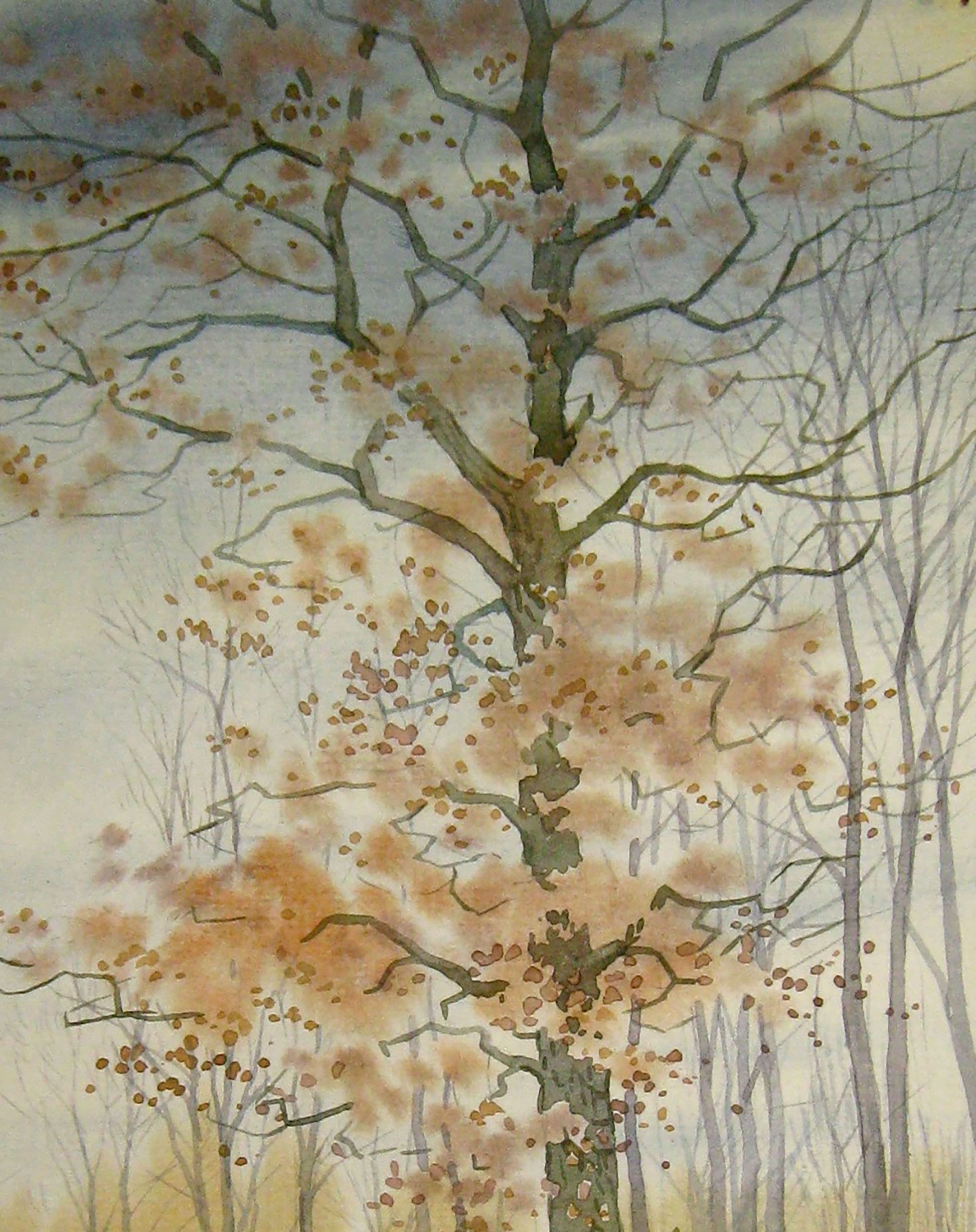 Oak, a watercolor painting by Valery Savenets.