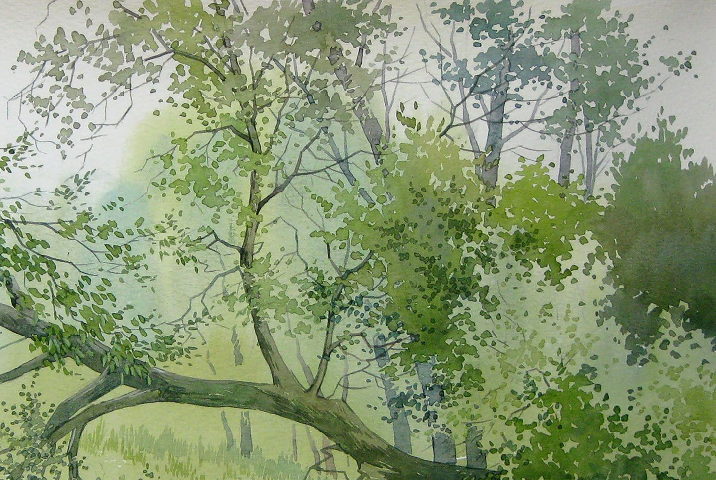 Watercolor painting Fallen tree Savenets Valery