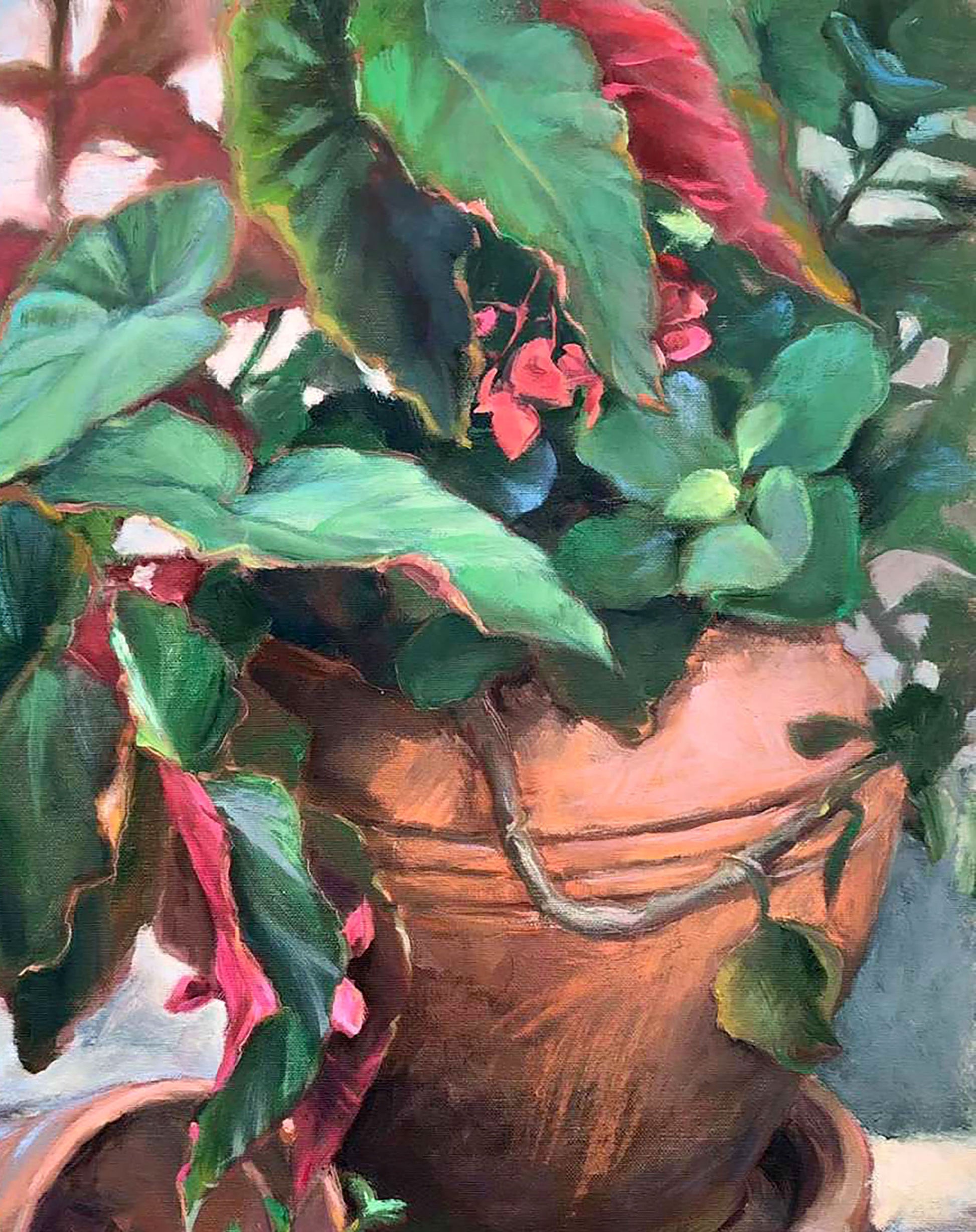 Oil painting Begonia Flowers still life  Osnach Olesia